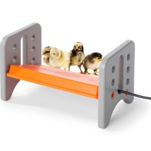 Chicken Brooder
